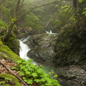 Пролетна гора, резерват Соколна