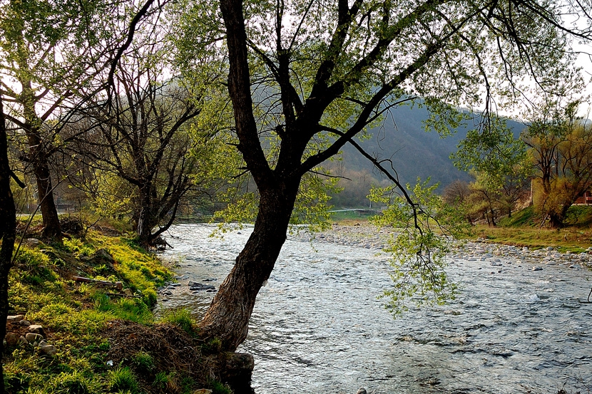 Пролетно край Вит