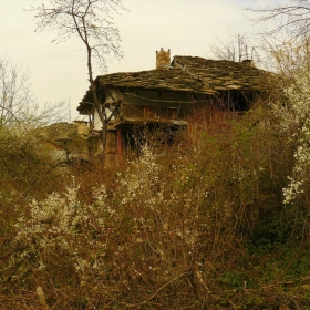 Пролет в Боженци