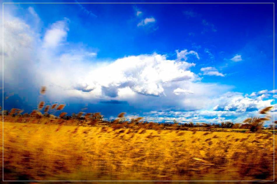 НЕБЕСНА КРАСОТА