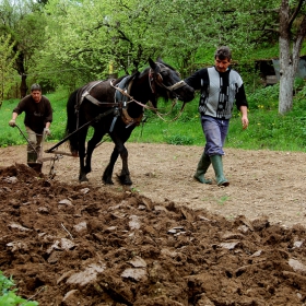 Земеделие в BG - 1 - 2010