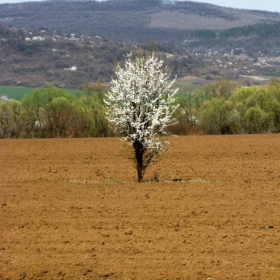 честита пролет