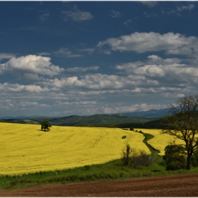 Пролетно агрокултурно - 1