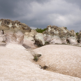 Каменните гъби при село Бели Пласт