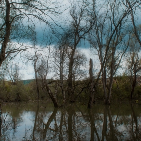 На водопой