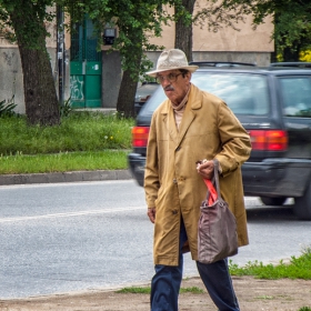 Идеален ден за бране на гъбка-праханка