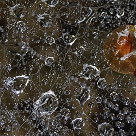 паяжина край водопада