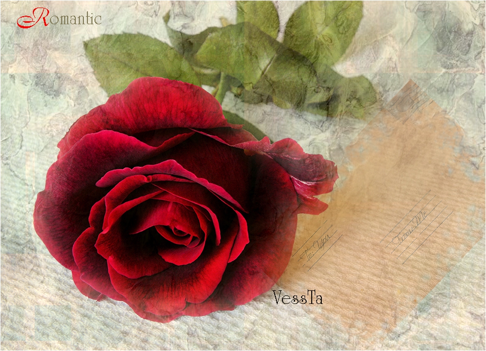 Just Rose ...Romantic