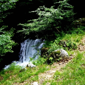 Водопад в зеленината