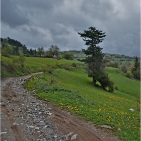 Off-road в Родопите