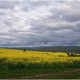 Пролетно агрокултурно