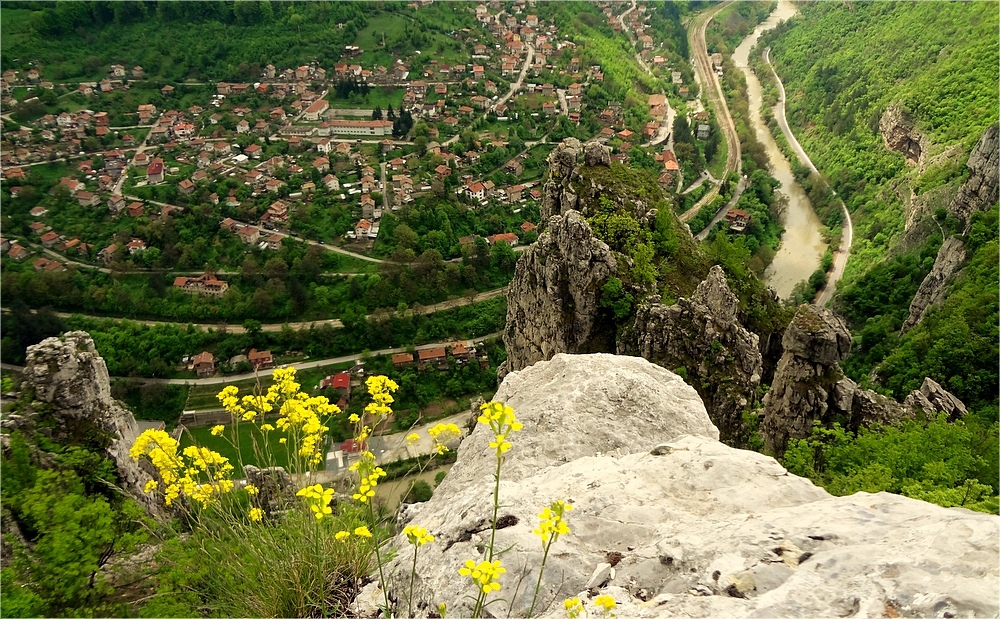 Лакатник