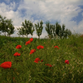 Палитрата на лятото!