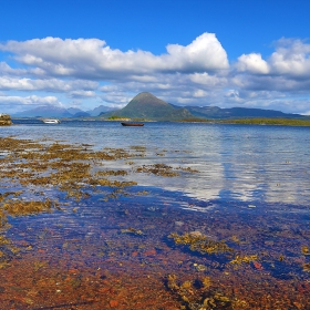 Fjord