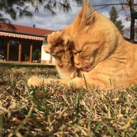 sunbath