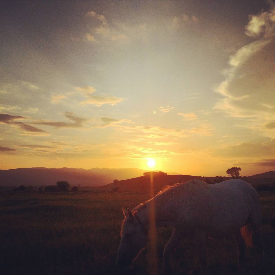 sunset