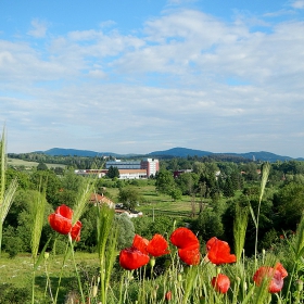 Поглед към 