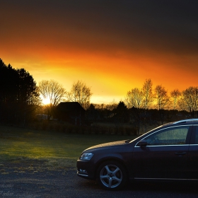 The car and the nature