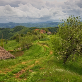 парченце от Родопите