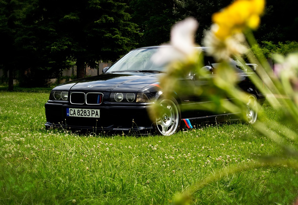 M Power