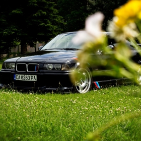 M Power