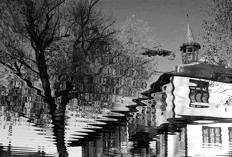 Трявна 