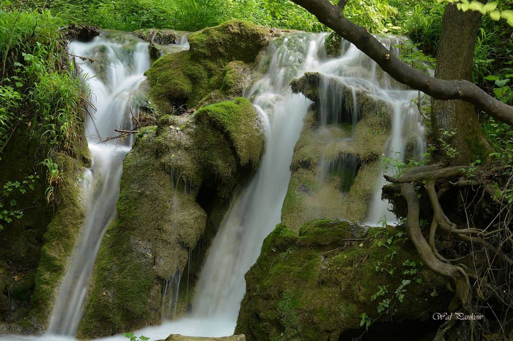 Бачковски водопади