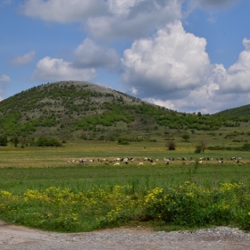 Зелени вълни  'за Фотоконкурса Туризъм и пътувания 2014'