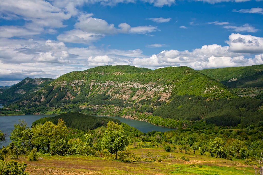 Край Арда