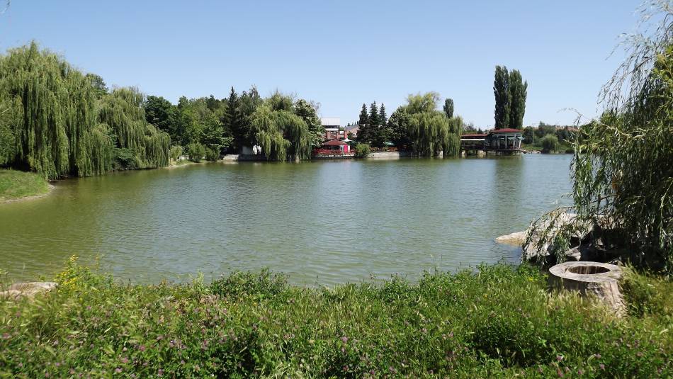 Борово око
