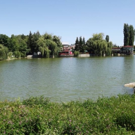 Борово око