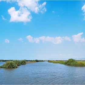 Evros Delta