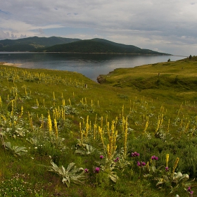 Край язовир Белмекен.