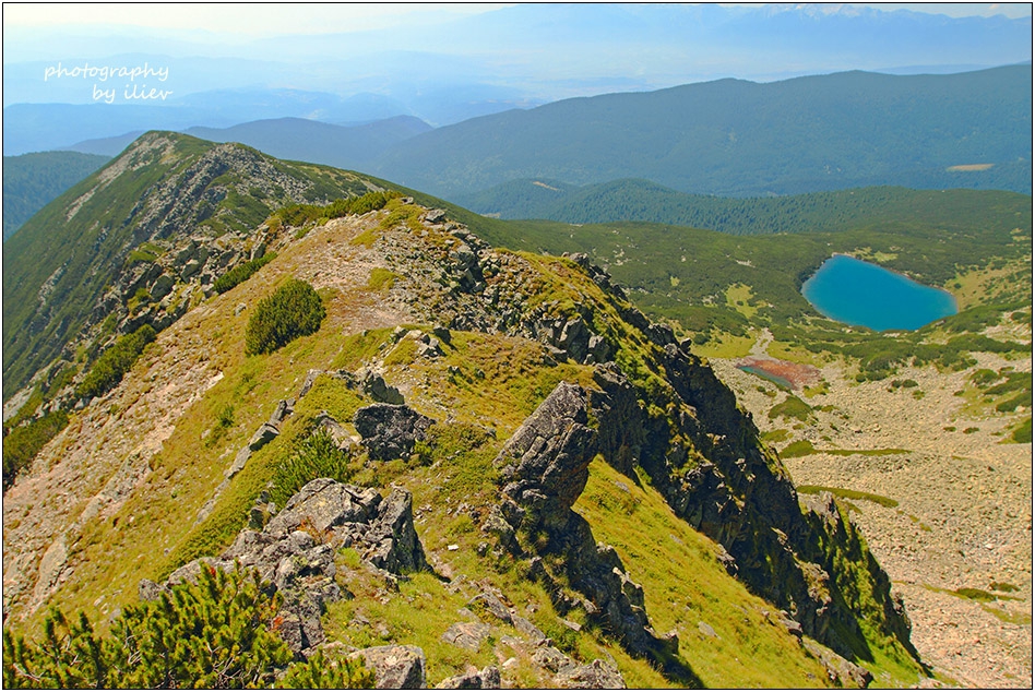 РИЛА