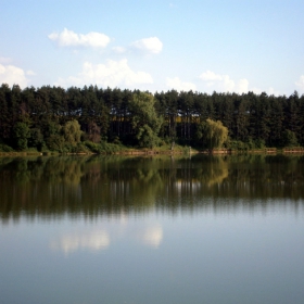 Отражения