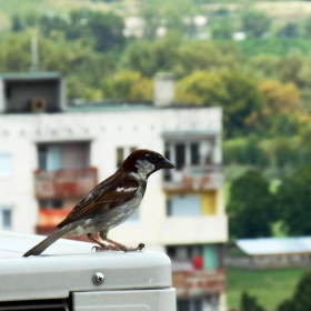 Снимка без име