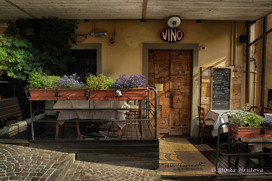 Vino