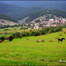 Край село Добърско