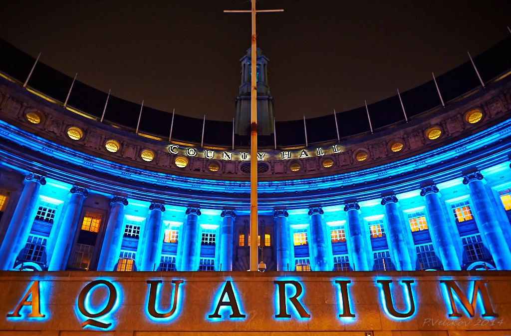 Aquarium&County Hall,London