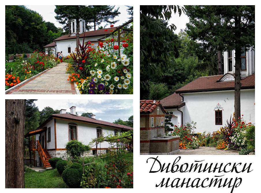 Дивотински манастир