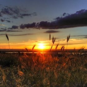 Залезно
