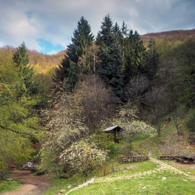 Бялата вода