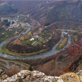 гледки от шипковия храст