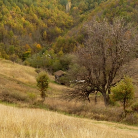 старата плевня 