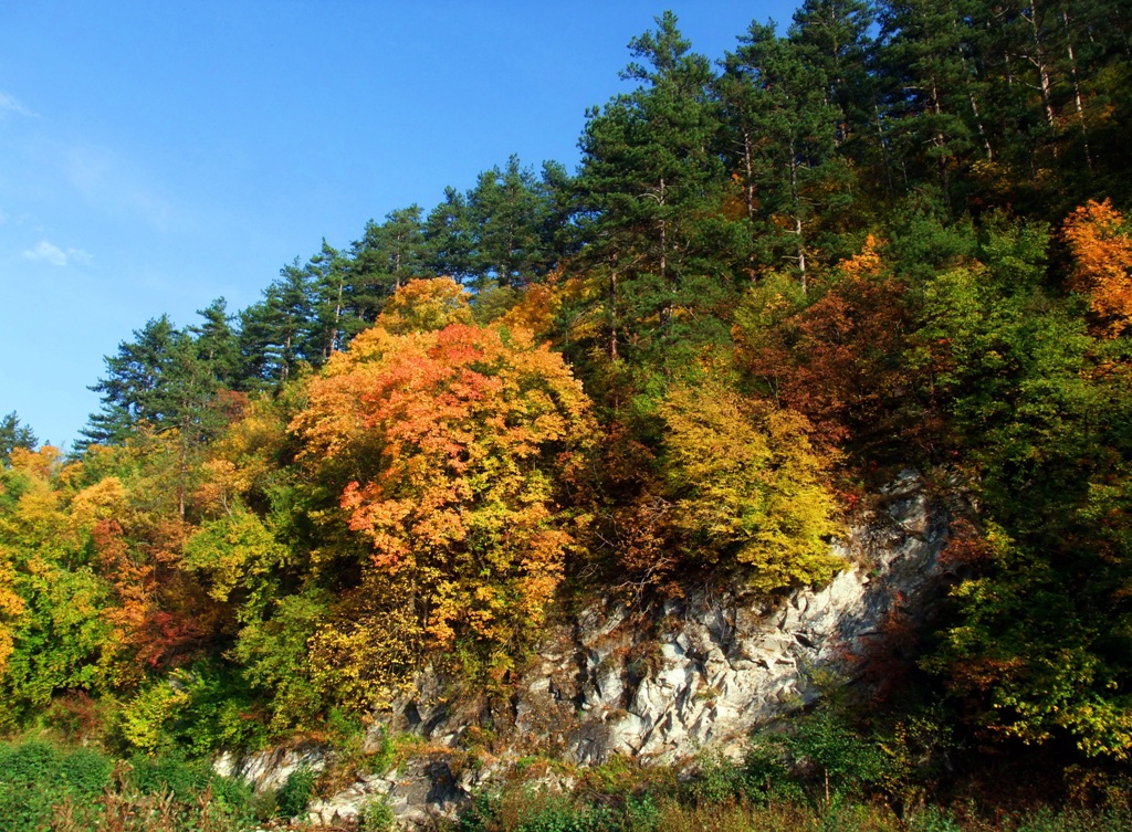Есенни багри