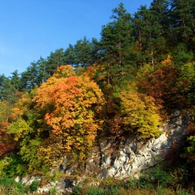 Есенни багри