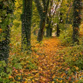 В есенна прегръдка...