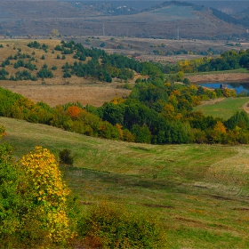 Кривини