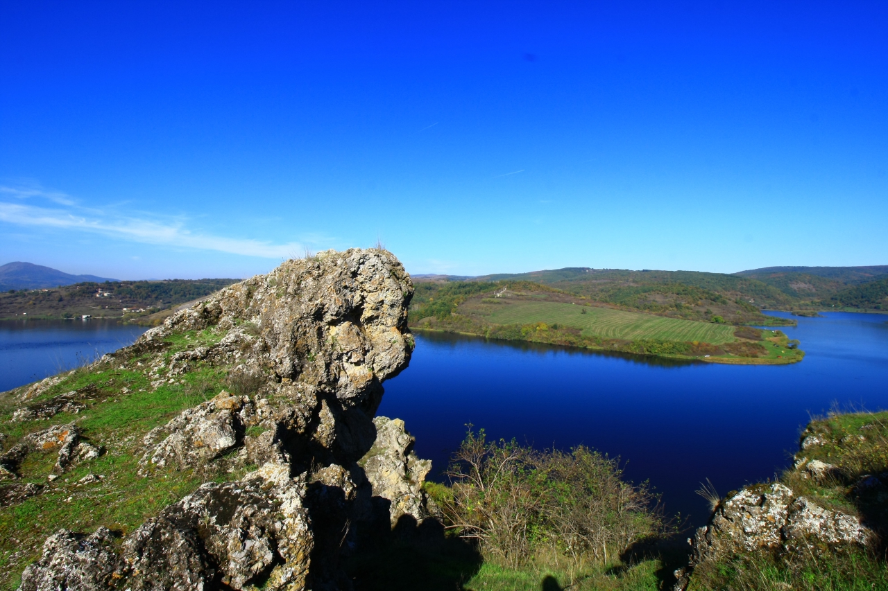 Пчелина