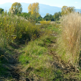 Край реката